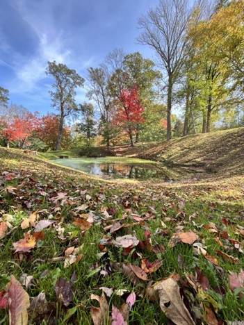 Photo of Clifton Park in early fall on a sunny, blue-sky day. The camera is low to the ground, with green rolling lawn and fallen leaves in the foreground.  In the center is a small pond, reflecting the trees surrounding it. two trees have turned bright red, and others are just starting to yellow.  