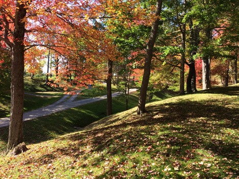 Photo of Clifton Park in early fall on a sunny day. The rolling green hills have some brown leaves on the ground, and large trees have a mix of orange and green leaves.  In the background the gravel driveway forks and heads up the hill.