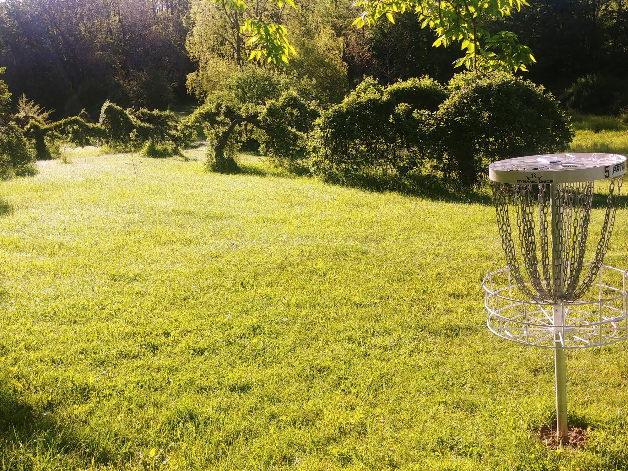 A disc golf basket on a metal pole stands in a green field, with trees and sunlight in the background