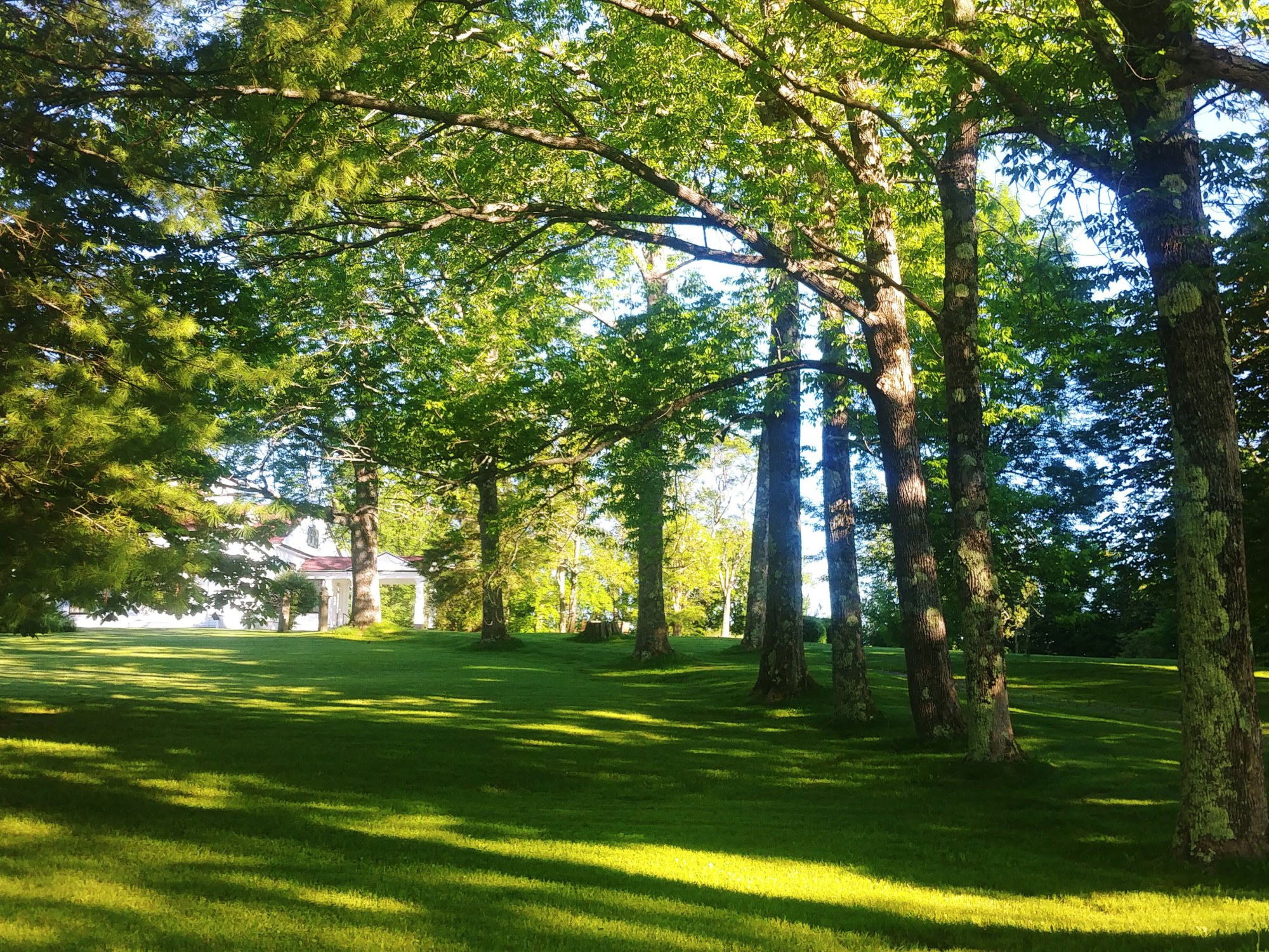 A view of the grounds at Clifton Museum Park featuring trees, a lawn, and a distant building.