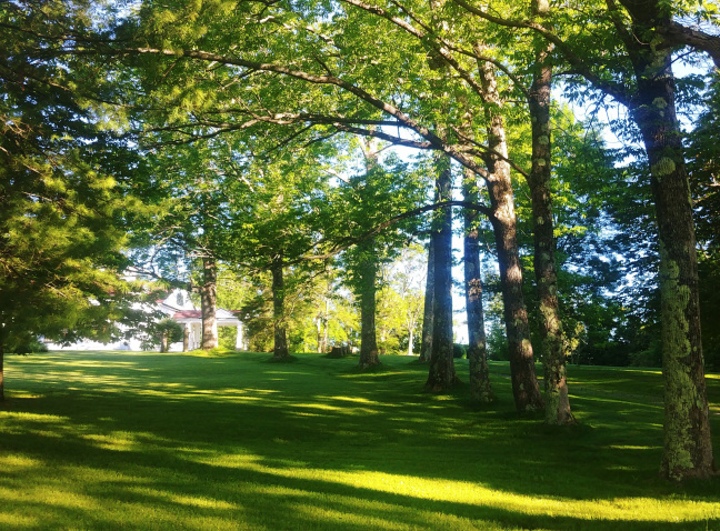 A view of the grounds at Clifton Museum Park featuring trees, a lawn, and a distant building.