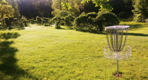 A disc golf basket on a metal pole stands in a green field, with trees and sunlight in the background